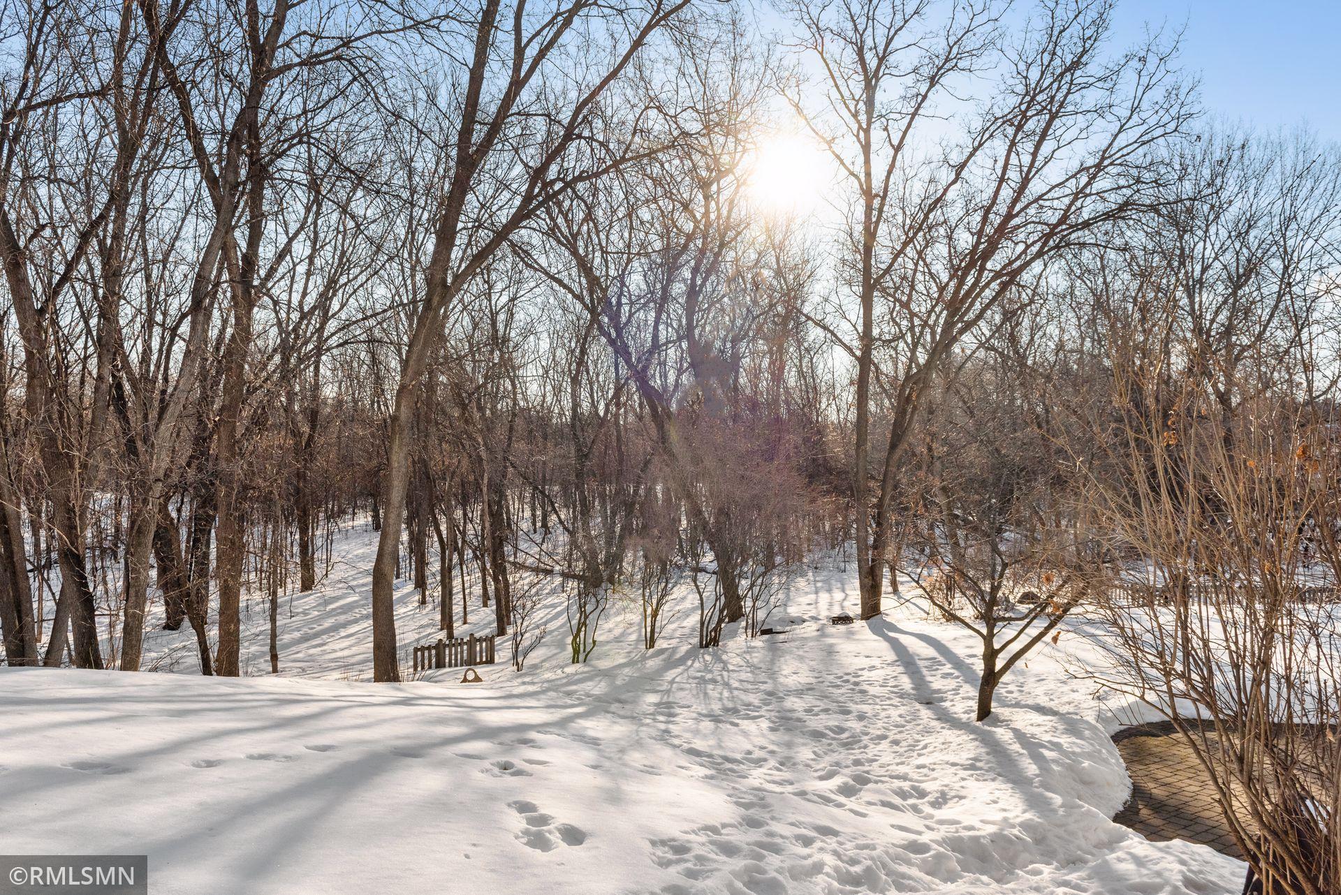 425 Hunter Pass Orono, MN 55391 - Photo 67 of 73