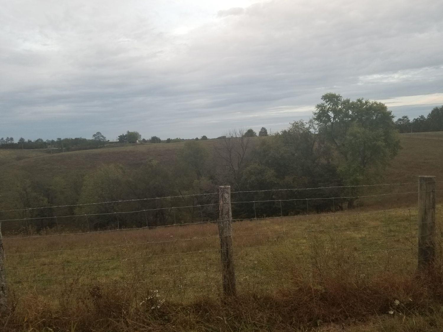 8241 Buckeye Road Lancaster, KY 40444 - Photo 59 of 69 Photo 61