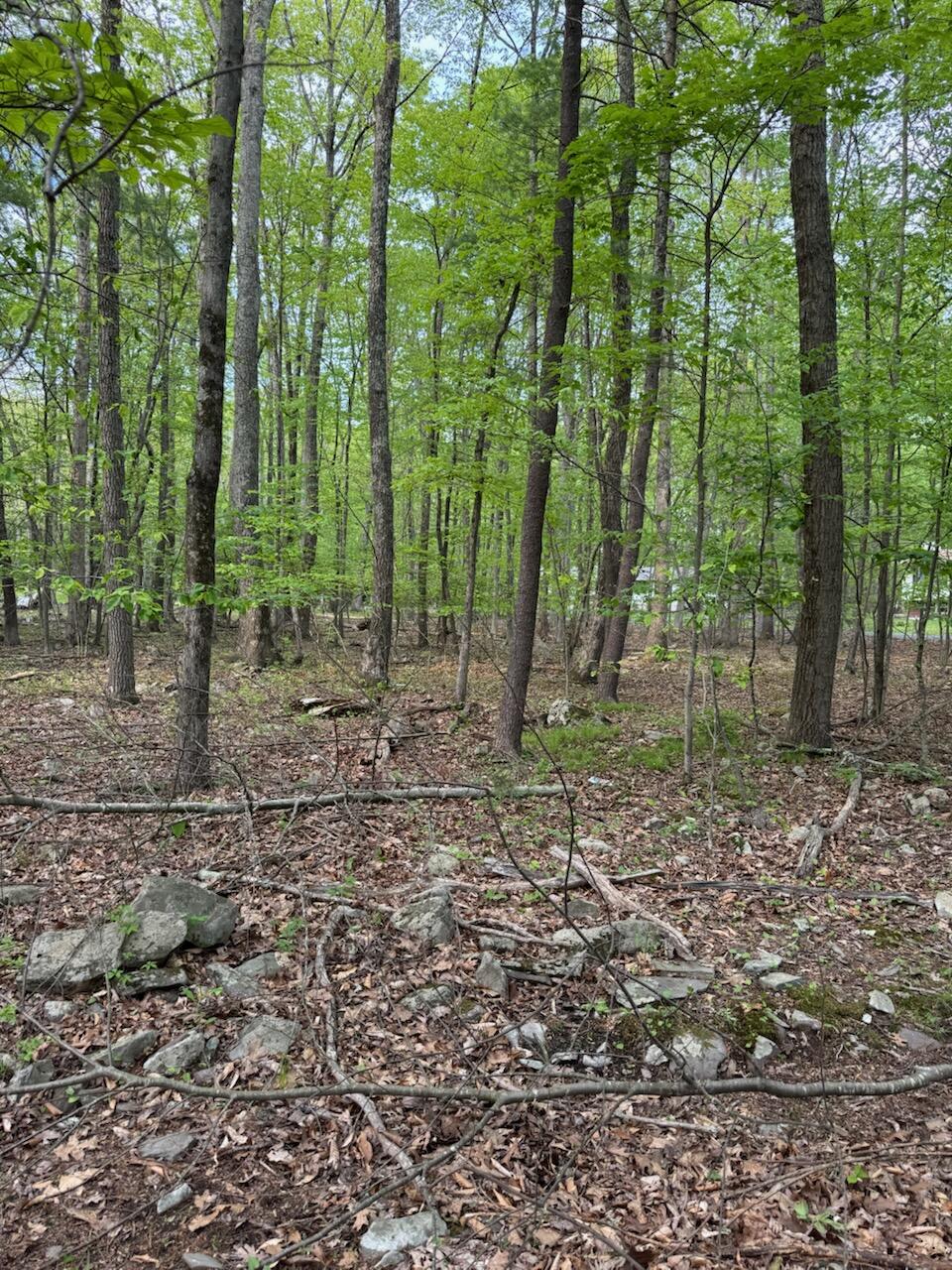 218 Charles Folly Road Bartonsville, PA 18321 - Photo 2 of 6 a backyard of a house with lots of green space