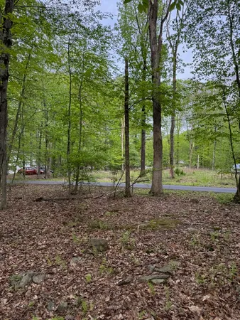 a view of outdoor space with trees