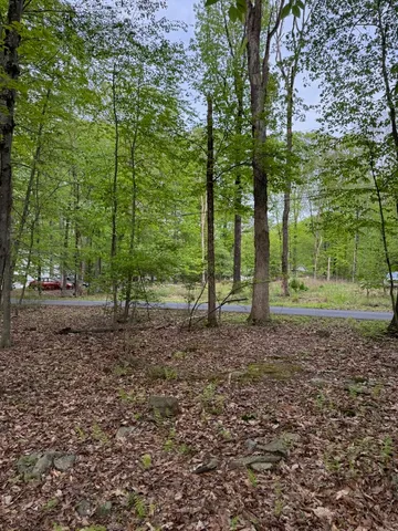 a view of outdoor space with trees