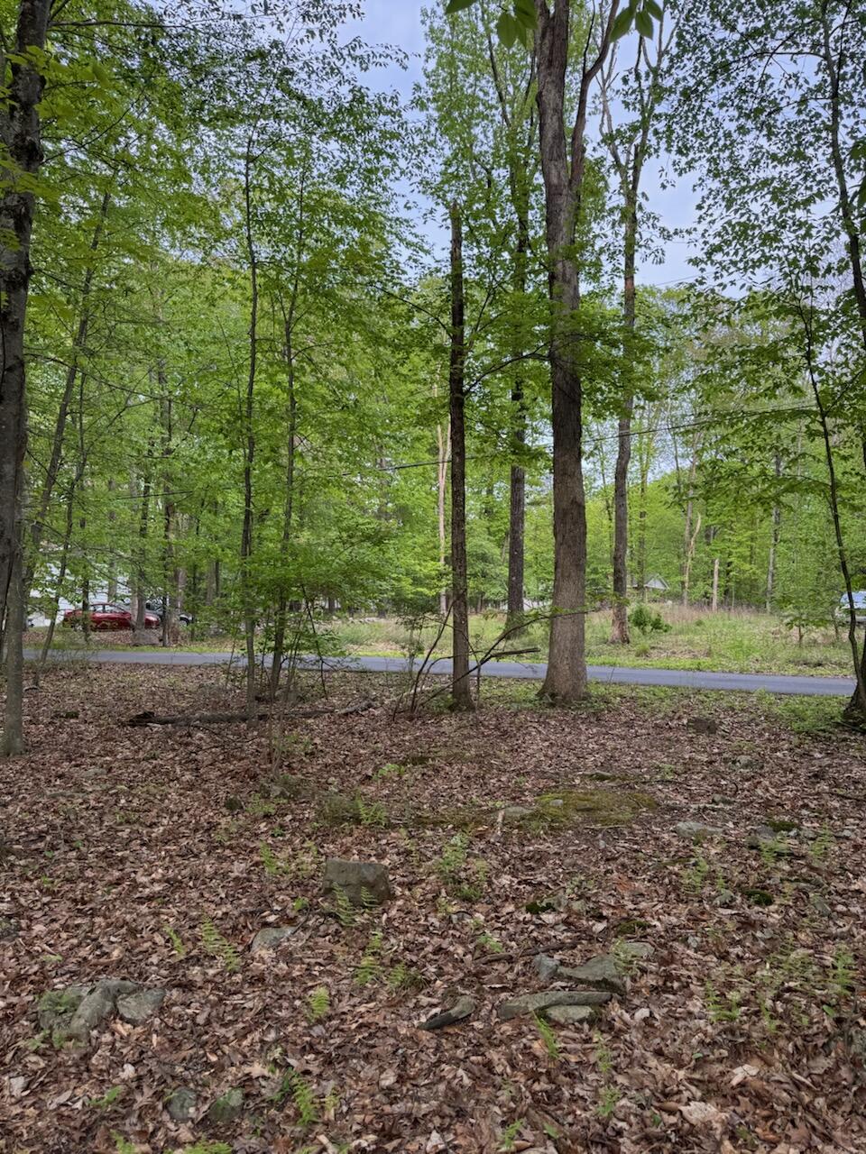 218 Charles Folly Road Bartonsville, PA 18321 - Photo 3 of 6 a view of outdoor space with trees