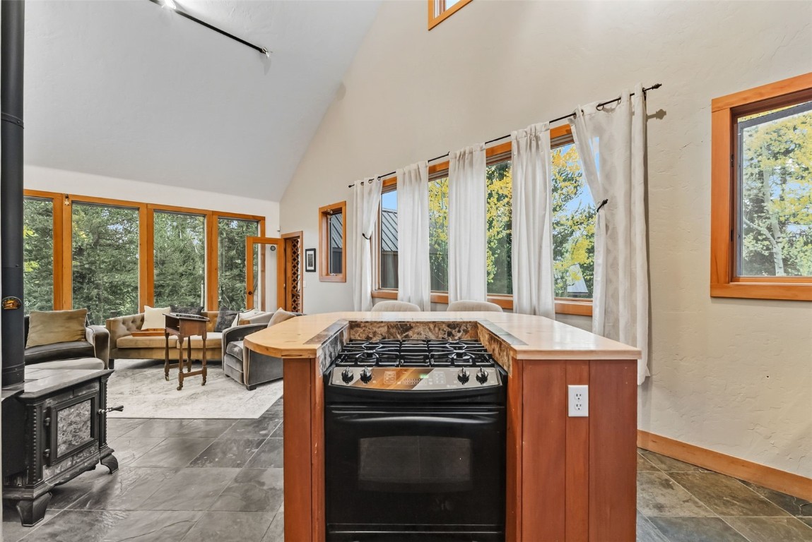 860 Adventure Road Alma, CO 80420 - Photo 12 of 49 Gallery Image 12