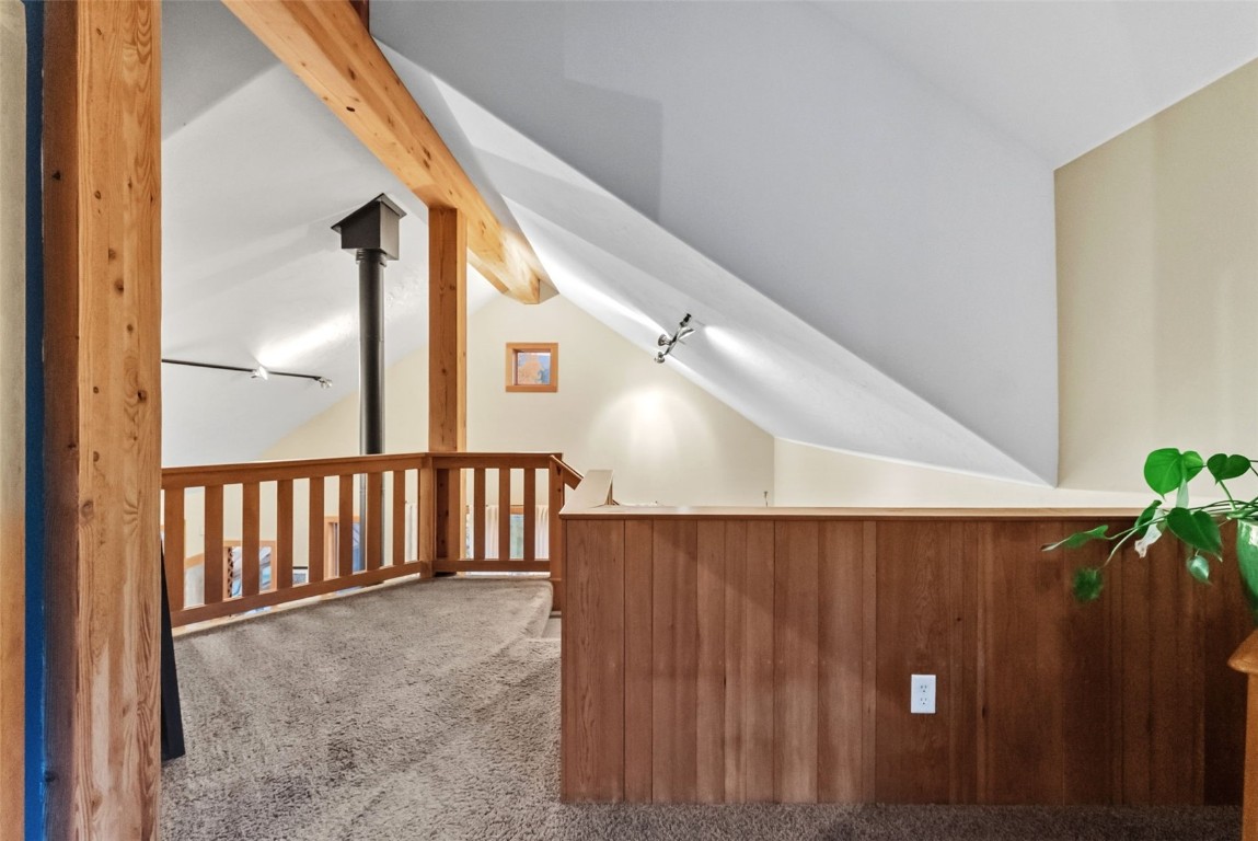 860 Adventure Road Alma, CO 80420 - Photo 19 of 49 Gallery Image 19