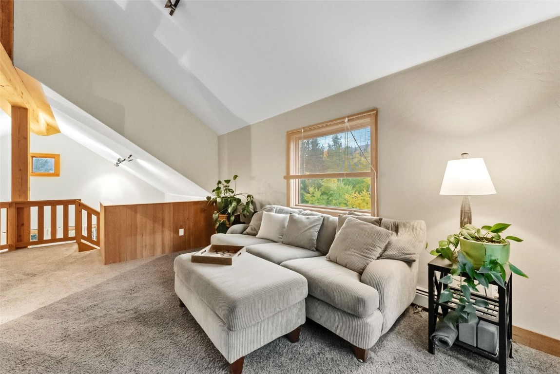 860 Adventure Road Alma, CO 80420 - Photo 27 of 49 Gallery Image 27