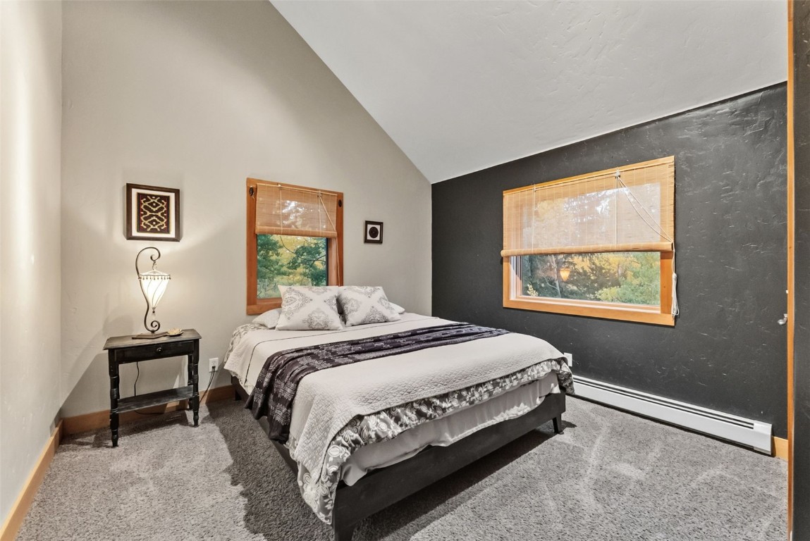 860 Adventure Road Alma, CO 80420 - Photo 28 of 49 Gallery Image 28