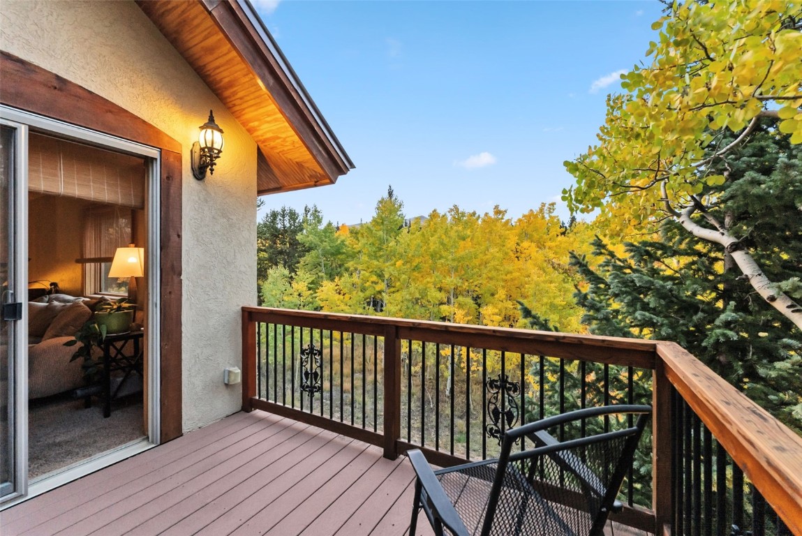 860 Adventure Road Alma, CO 80420 - Photo 34 of 49 Gallery Image 34
