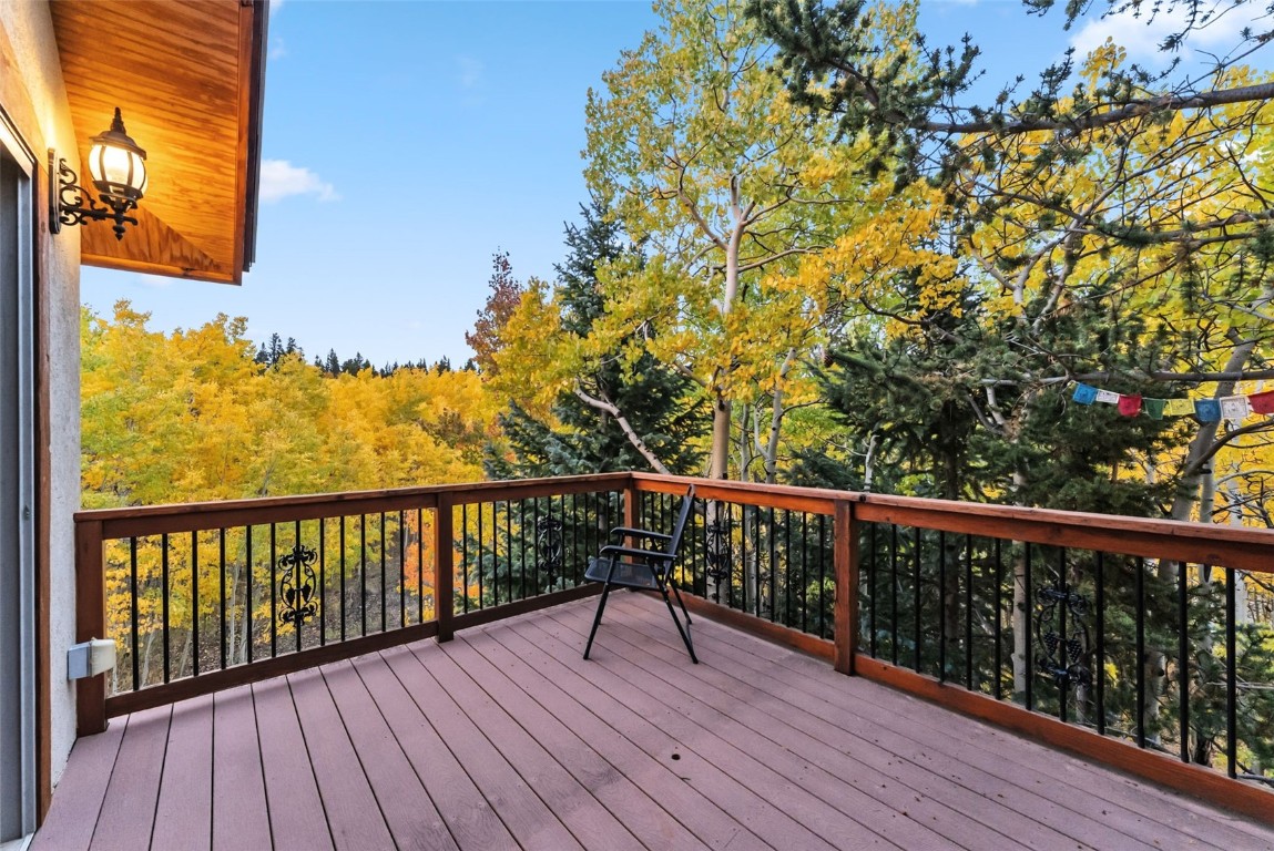 860 Adventure Road Alma, CO 80420 - Photo 35 of 49 Gallery Image 35