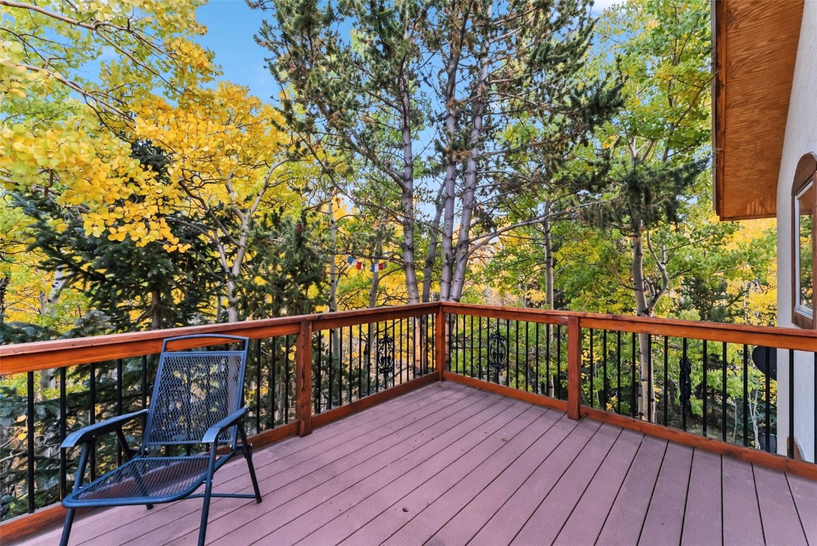 860 Adventure Road Alma, CO 80420 - Photo 36 of 49 Gallery Image 36