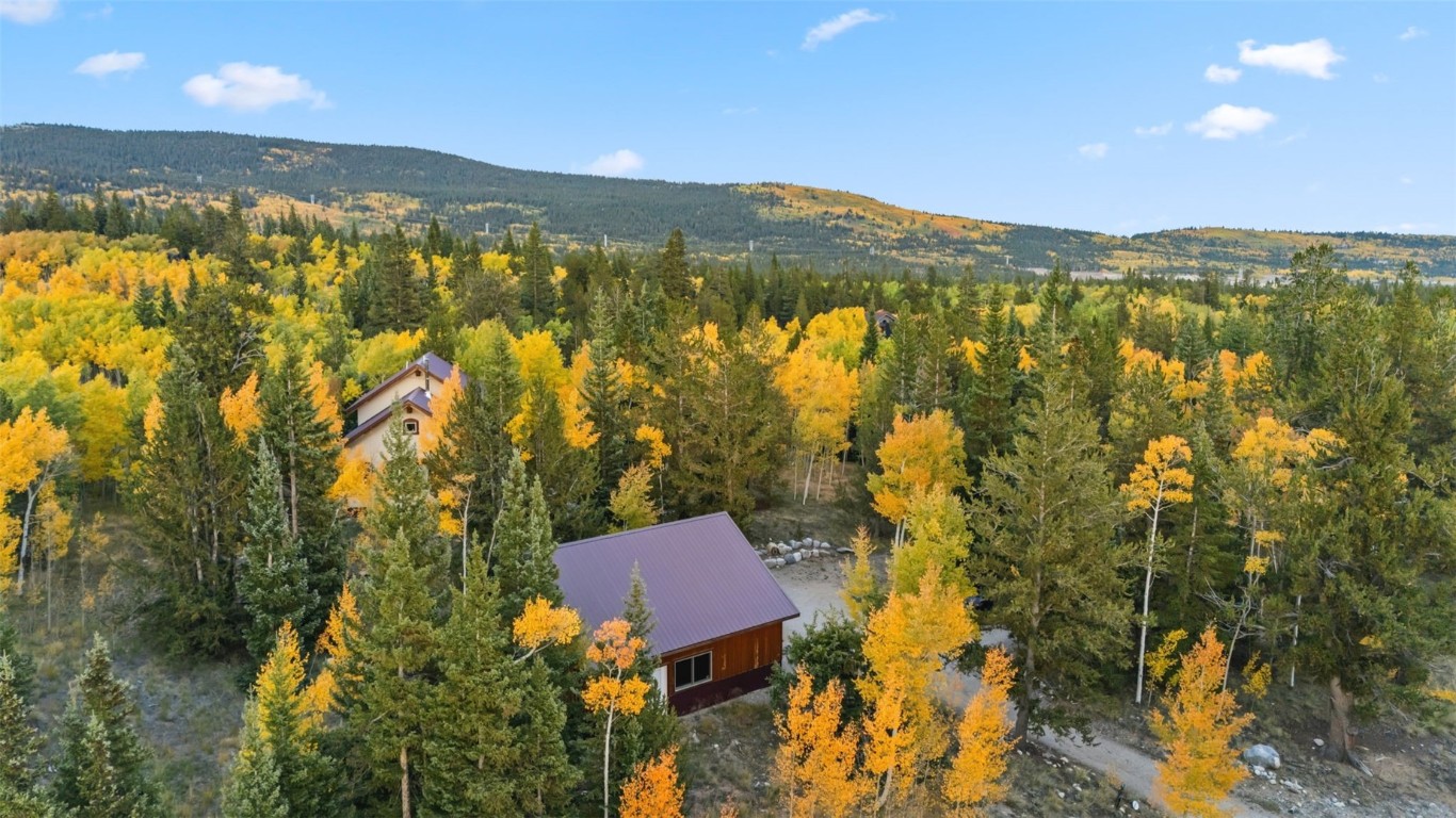 860 Adventure Road Alma, CO 80420 - Photo 46 of 49 Gallery Image 46
