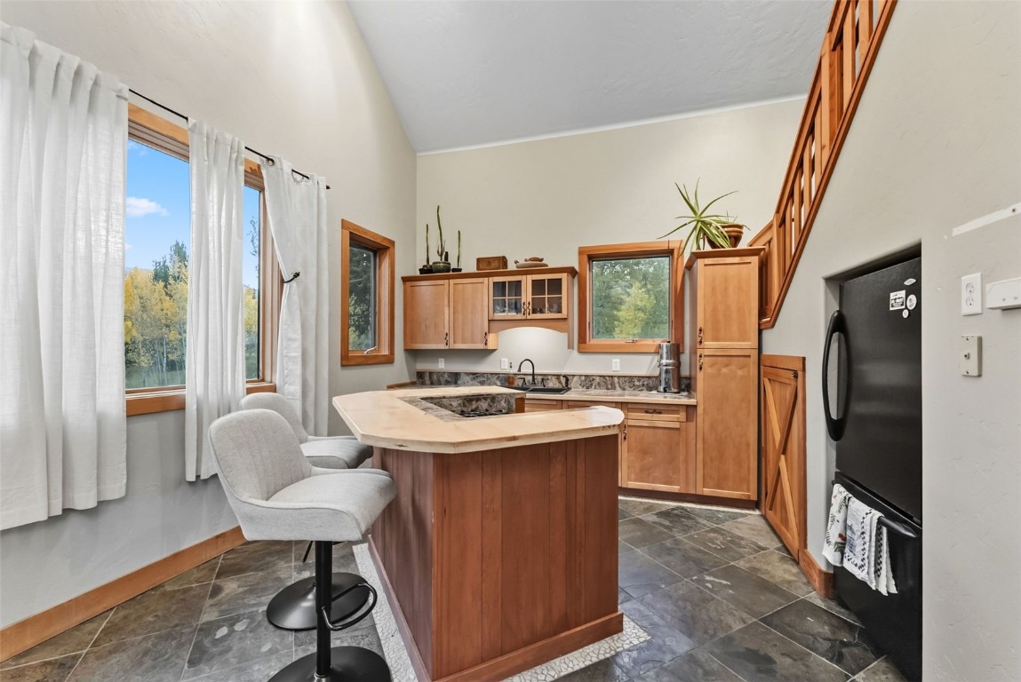 860 Adventure Road Alma, CO 80420 - Photo 9 of 49 Gallery Image 9