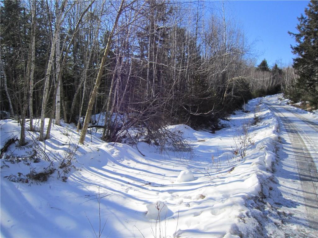 Lot 5-1 Jellison Meadow Road Ellsworth, ME 04605 - Photo 14 of 20 Middle of road frontage as...