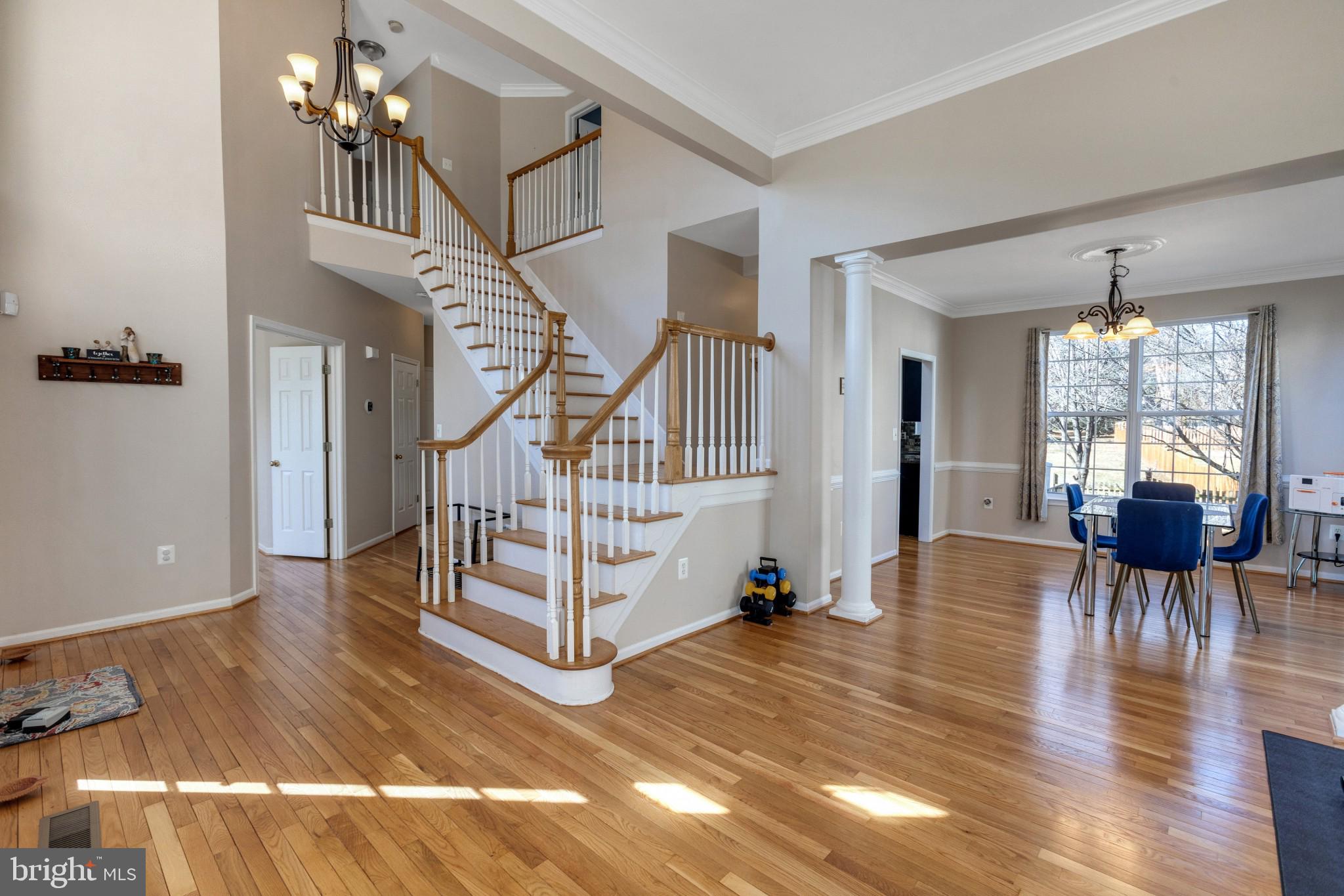 20761 Rainsboro Drive Ashburn, VA 20147 - Photo 3 of 37