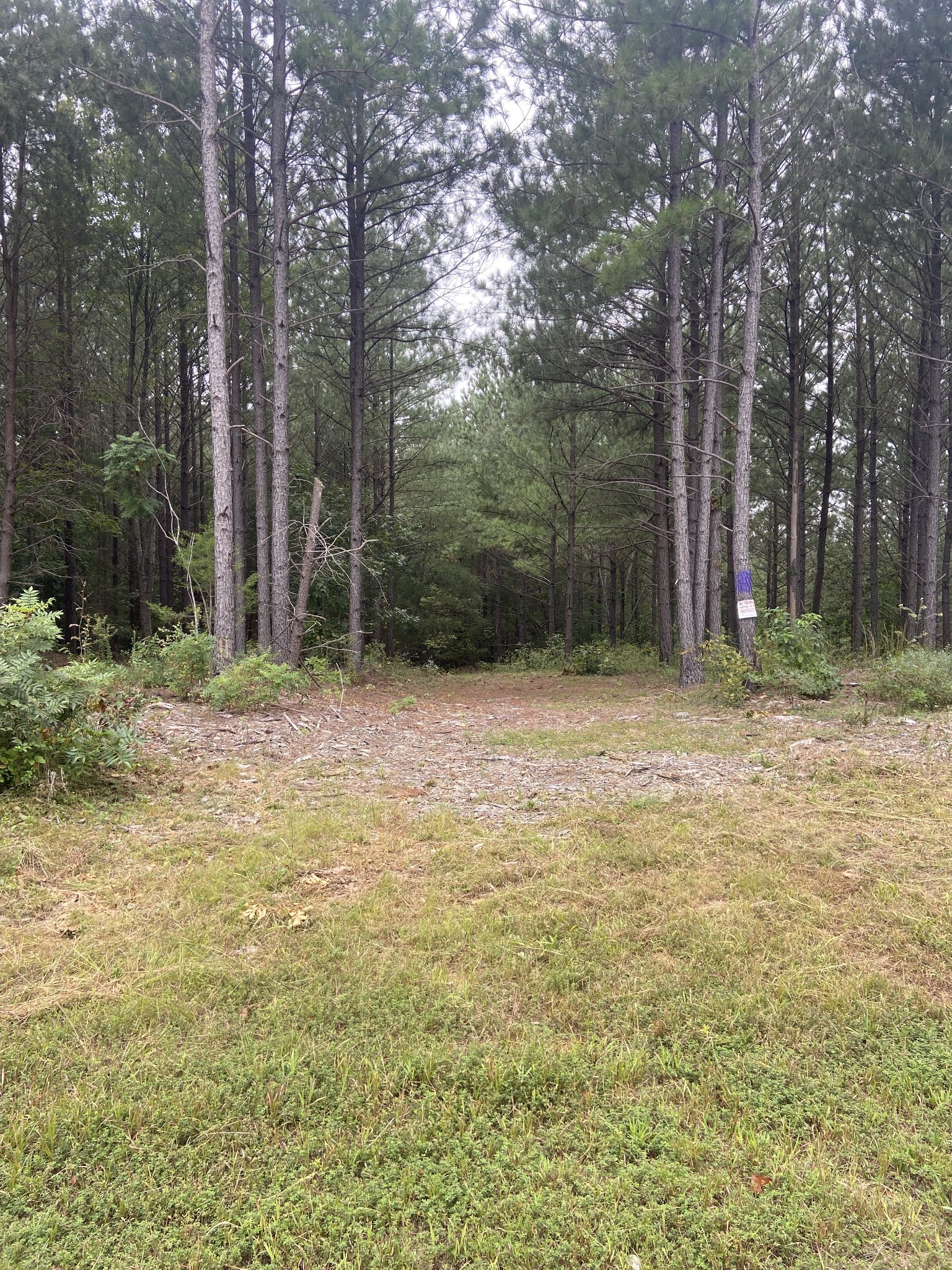 2592 Mcgee Road Linden, TN 37096 - Photo 12 of 14 Gallery Image 12