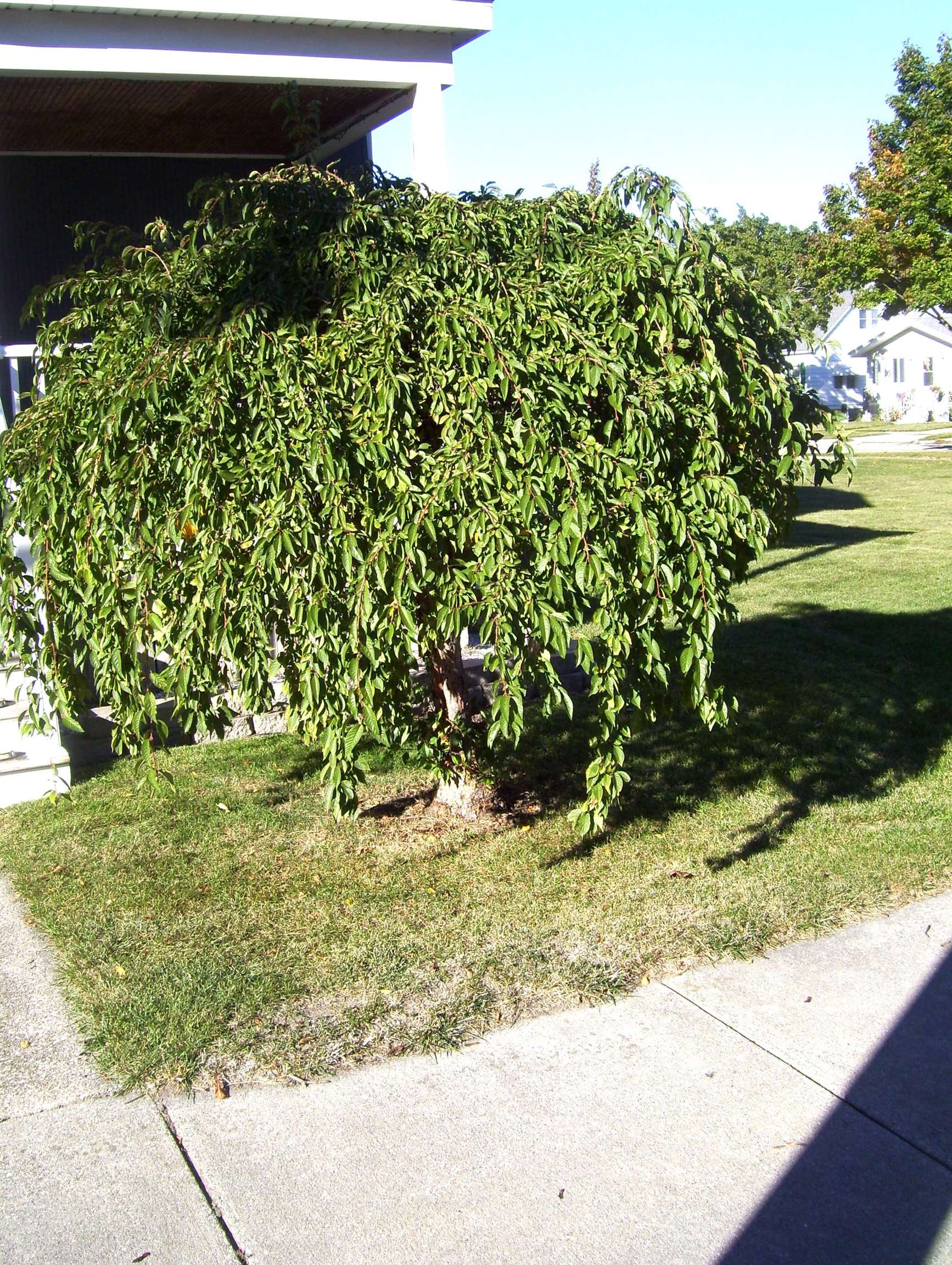 2005 22nd Street Bay City, MI 48708 - Photo 46 of 49 Gallery Image 46