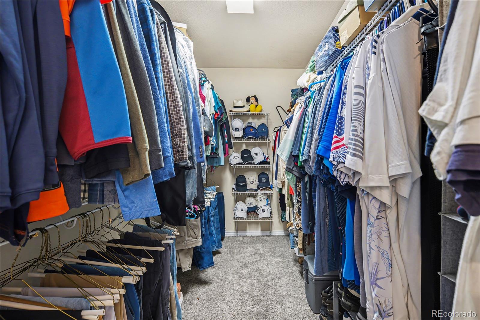 10871 Chambers Way Commerce City, CO 80022 - Photo 23 of 50 a view of walk in closet with clothes and shoes