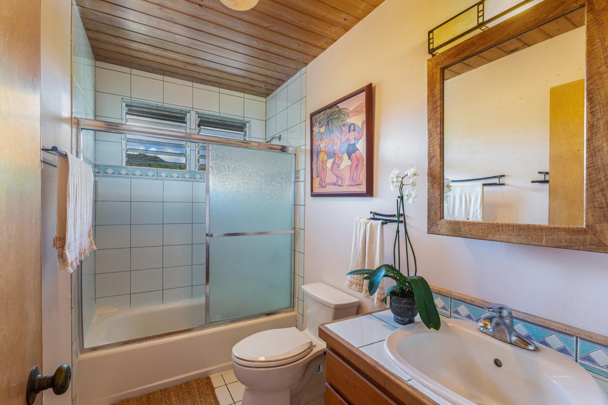 24 Off Moloaa Road Kilauea, HI 96754 - Photo 16 of 25 a bathroom with a sink a toilet and shower