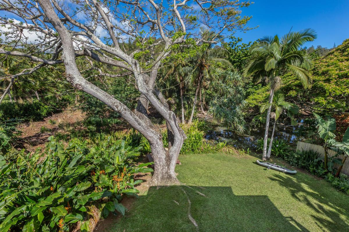24 Off Moloaa Road Kilauea, HI 96754 - Photo 20 of 25 a view of yard with green space