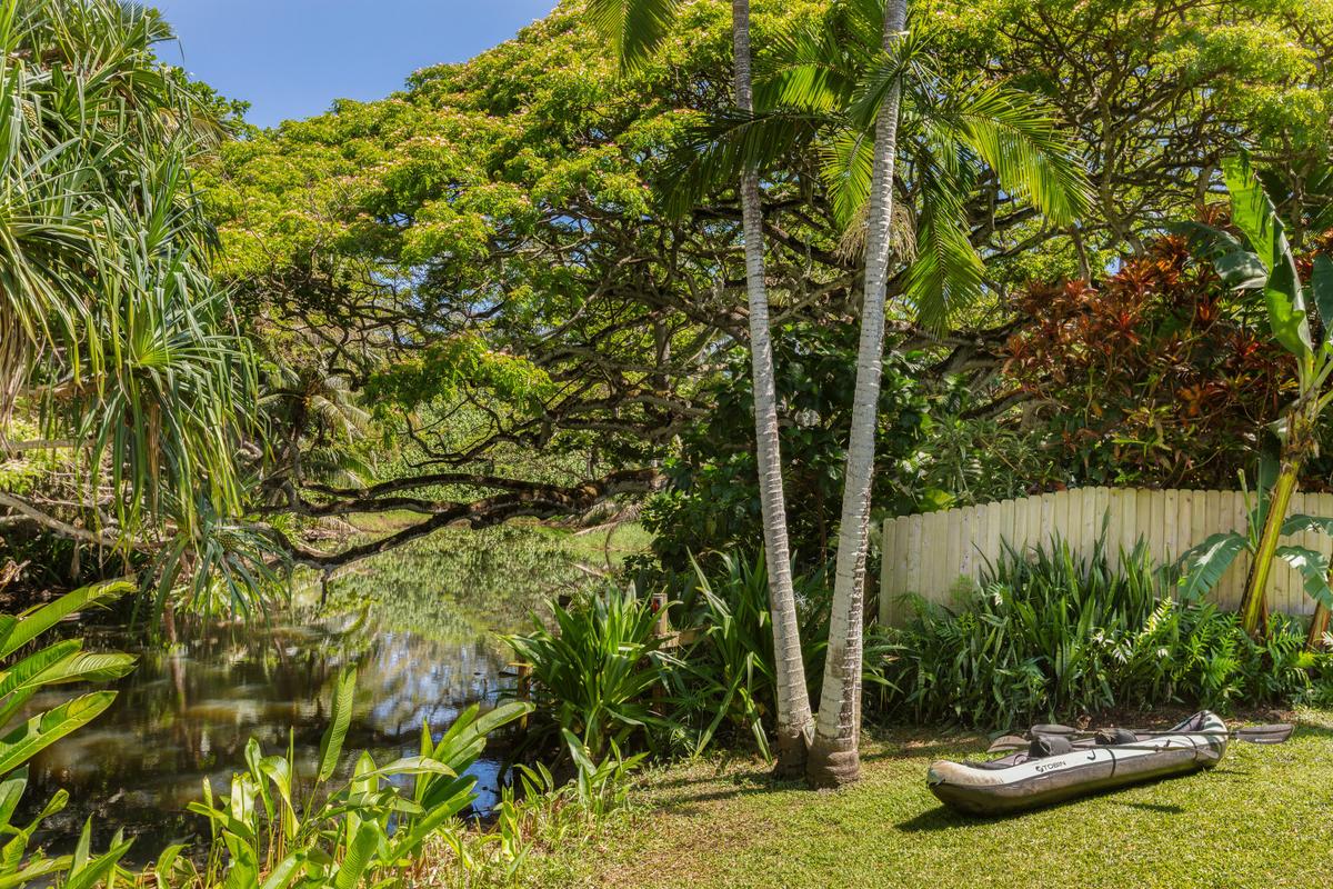 24 Off Moloaa Road Kilauea, HI 96754 - Photo 25 of 25 a view of a yard with plants