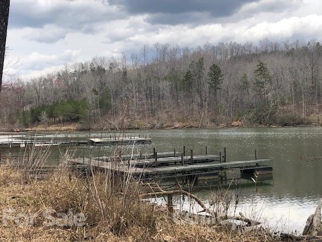 6 Pointe Ln Mill Spring Mill Spring, NC 28756 - Photo 5 of 5 a view of a lake view
