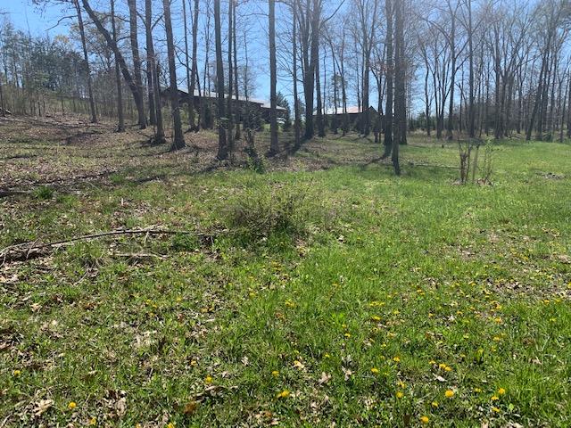 Hidden Ranch Way Seymour, TN 37865 - Photo 5 of 8 IMG_3443
