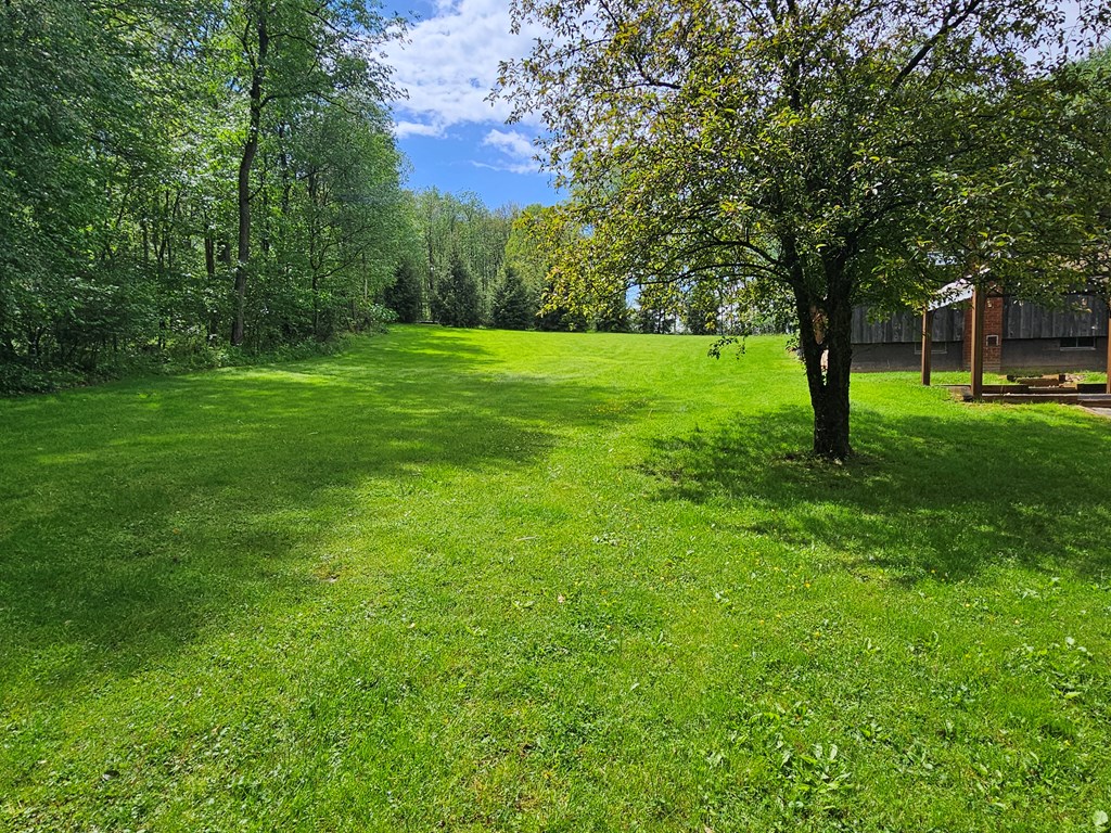 2127 Stitzinger Road Tionesta, PA 16353 - Photo 2 of 19