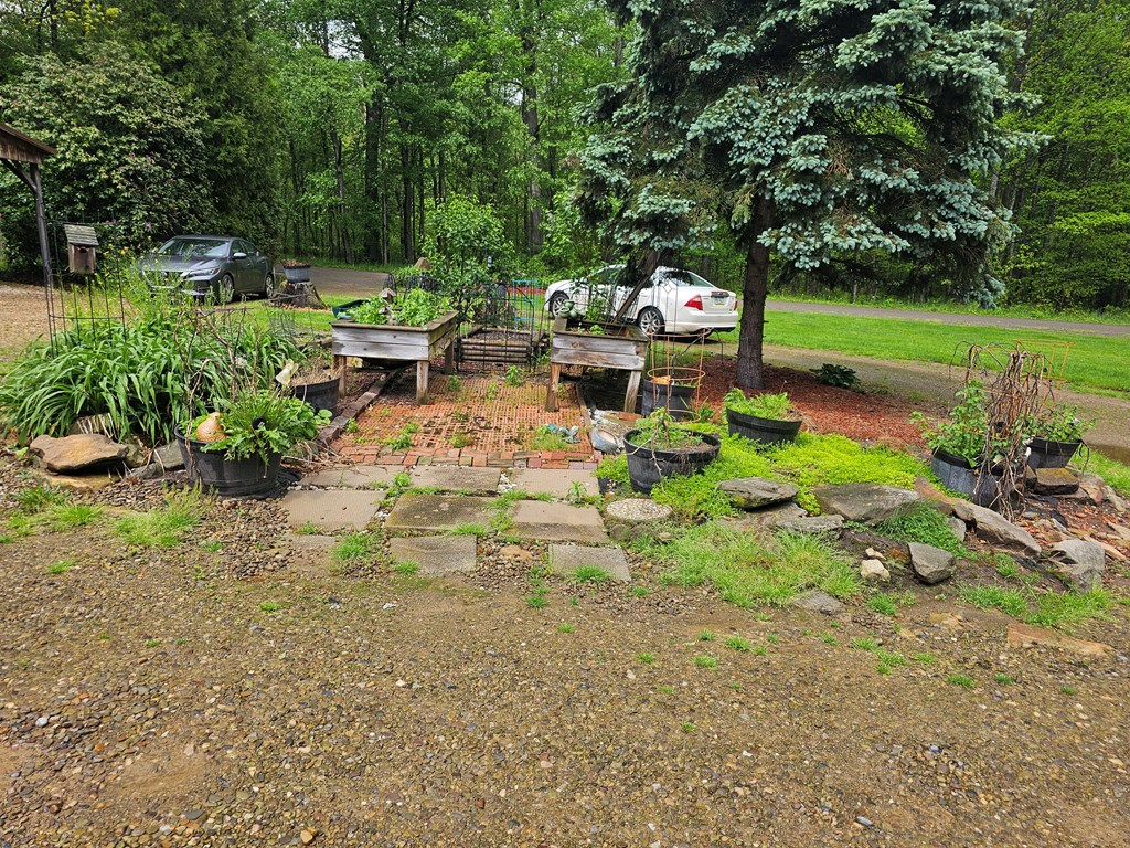 2127 Stitzinger Road Tionesta, PA 16353 - Photo 6 of 19
