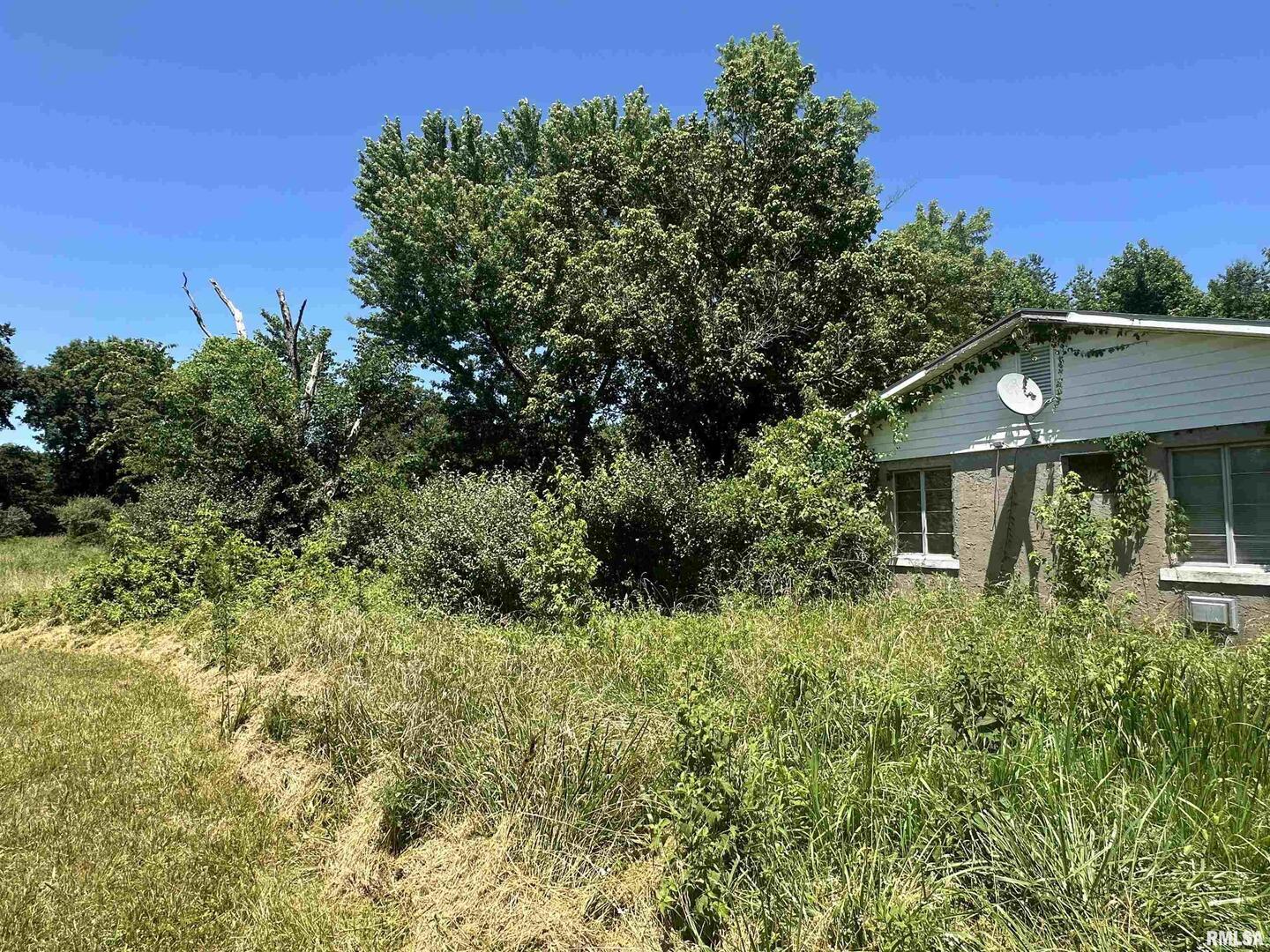 5672 Old Rte 13 Carterville, IL 62918 - Photo 25 of 29 a view of a house with a yard