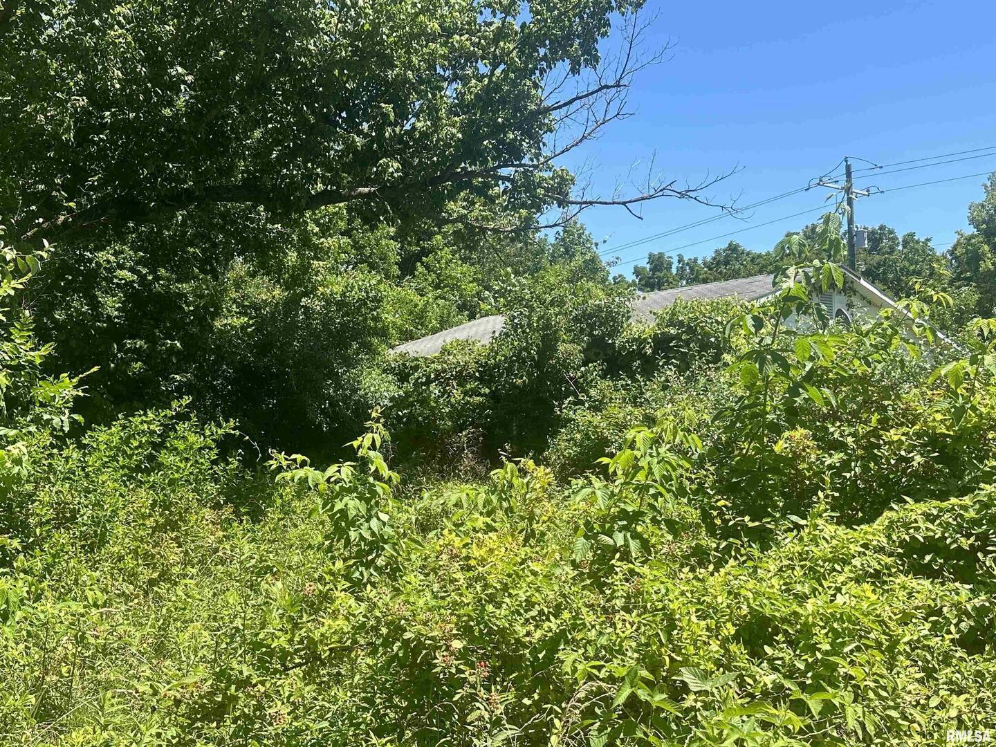 5672 Old Rte 13 Carterville, IL 62918 - Photo 28 of 29 a view of a garden