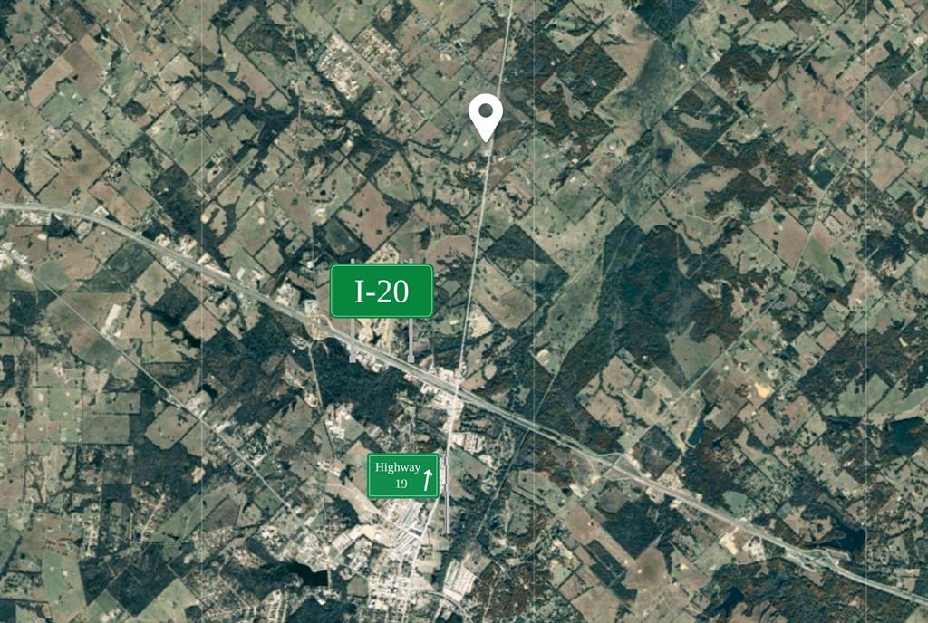 19 Canton Tx 75103 Canton, TX 75103 - Photo 2 of 2 a picture of tree