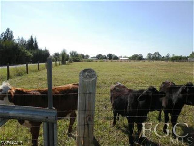 2350 Wendy Road LaBelle, FL 33935 - Photo 1 of 7 a view of a terrace with a garden and lake view