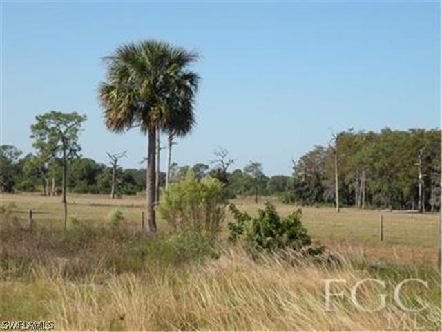 2350 Wendy Road LaBelle, FL 33935 - Photo 4 of 7 a view of outdoor space with trees