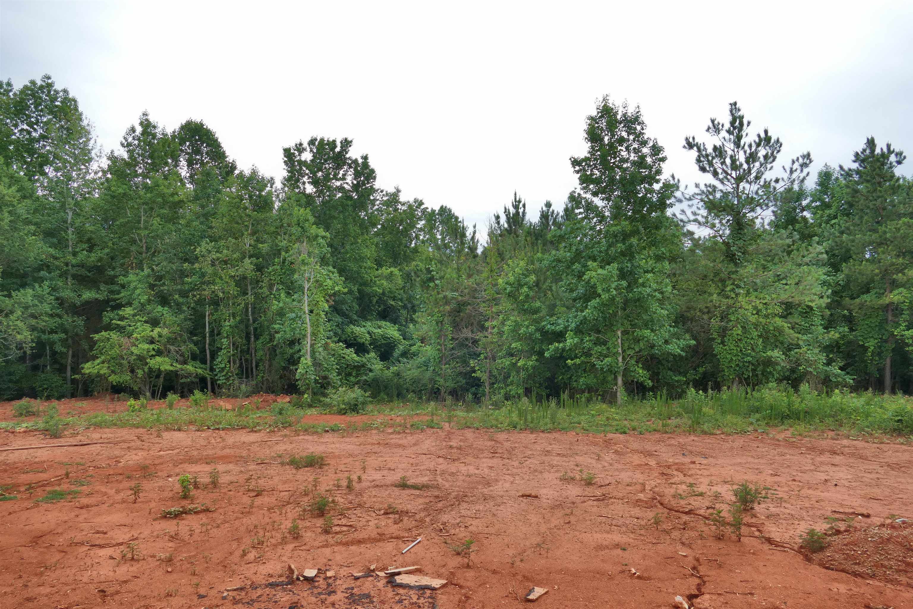 653 Pacolet Highway Gaffney, SC 29340 - Photo 9 of 9