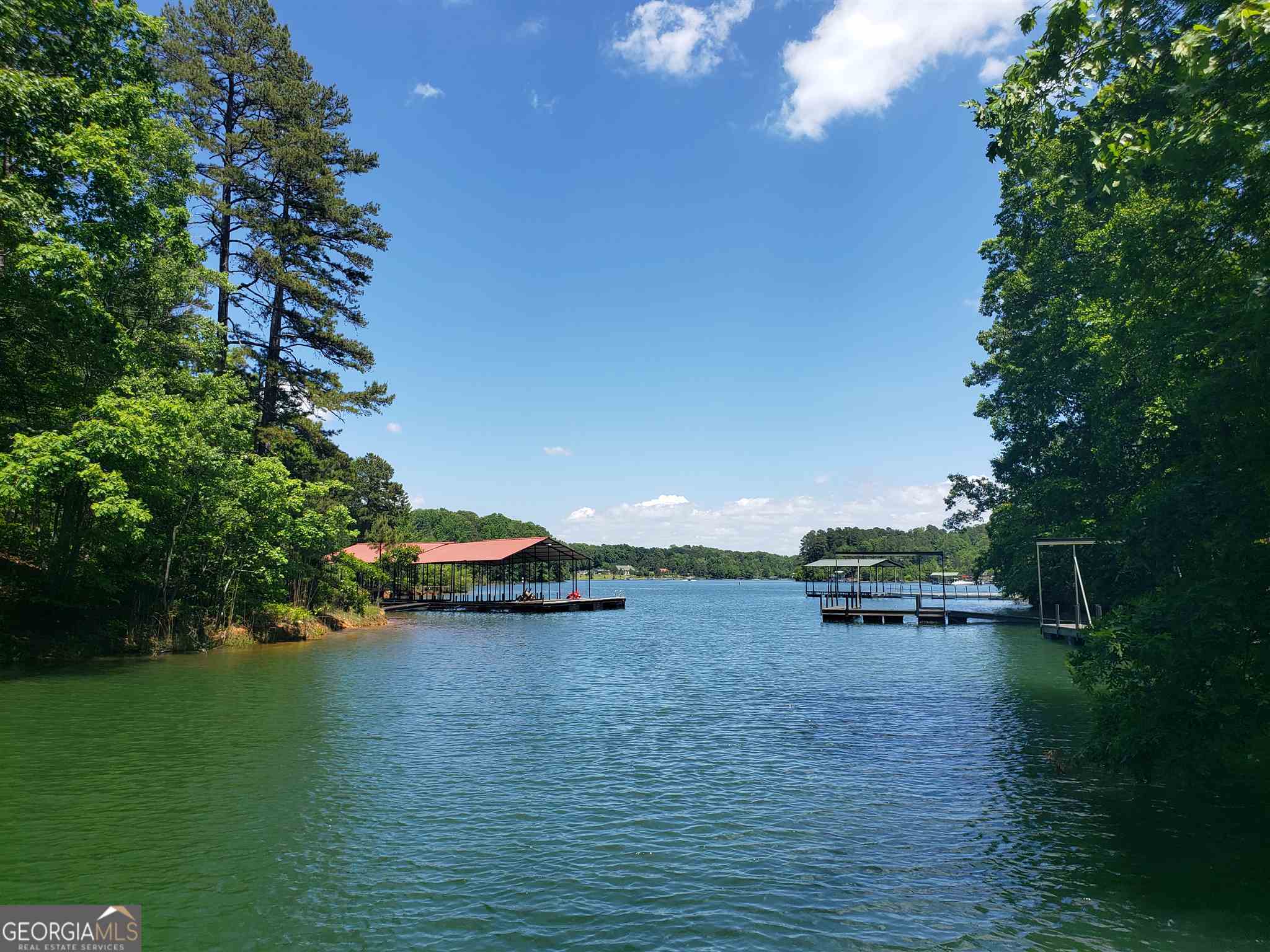 0 Calcutt Road Lavonia, GA 30553 - Photo 1 of 1 a view of lake with trees