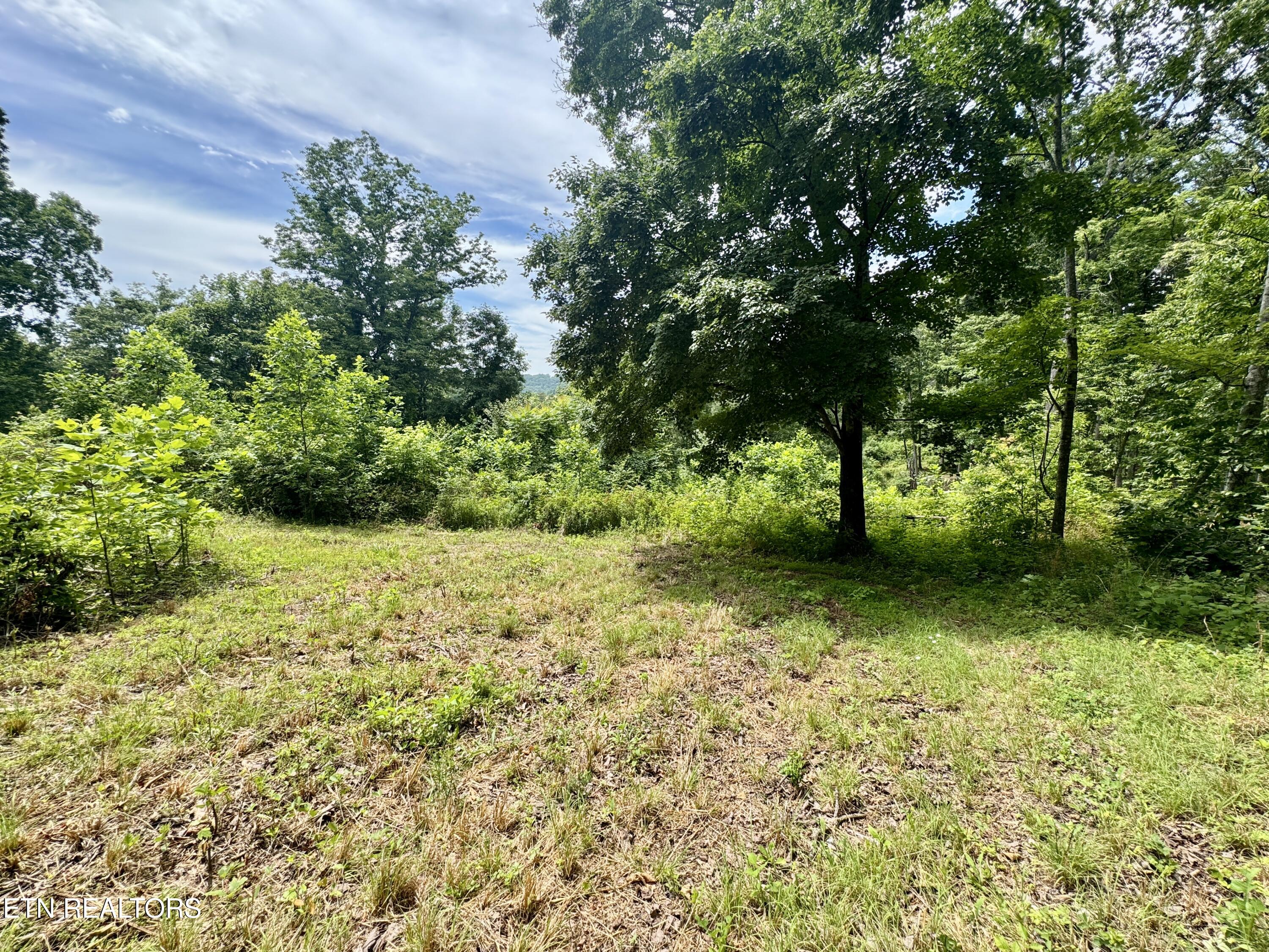 378 Johnson Hollow Road New Tazewell, TN 37825 - Photo 29 of 35 1-29