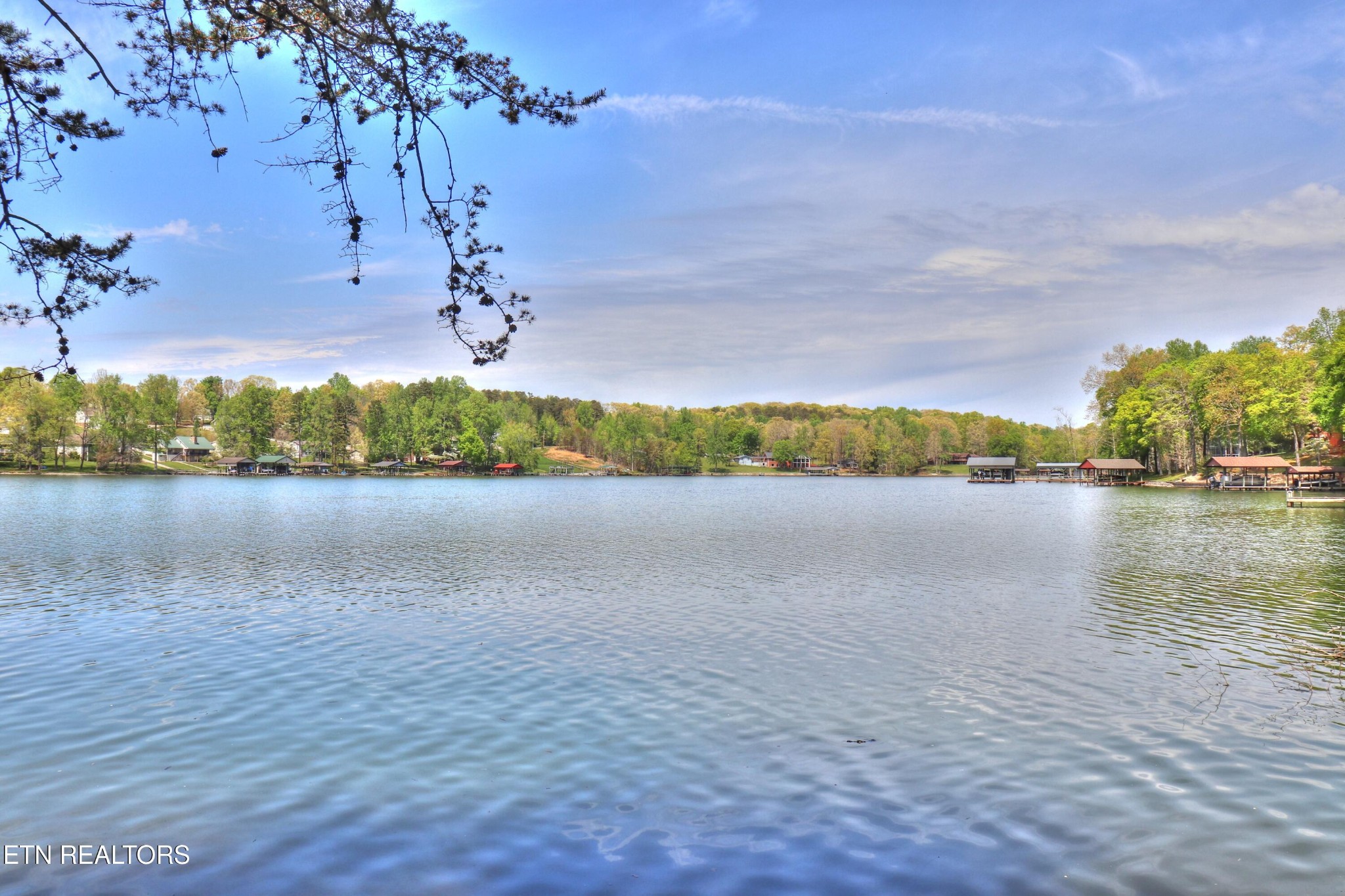 8 Spring Crossing Drive Spring City, TN 37381 - Photo 1 of 13 a view of lake view