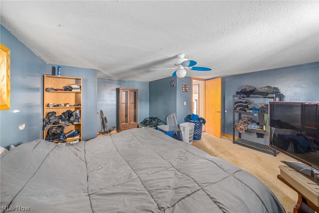31080 Haessly Road Hanoverton, OH 44423 - Photo 17 of 22 Gallery Image 17