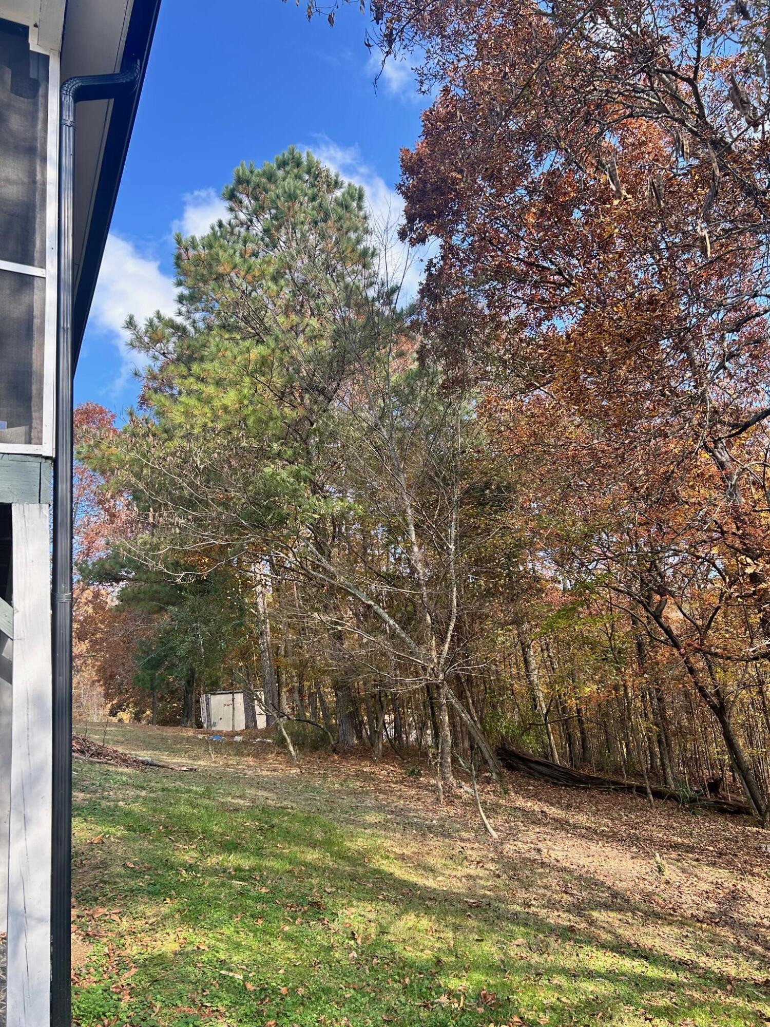 391 Oak Tree Road Ringgold, GA 30736 - Photo 36 of 40 36