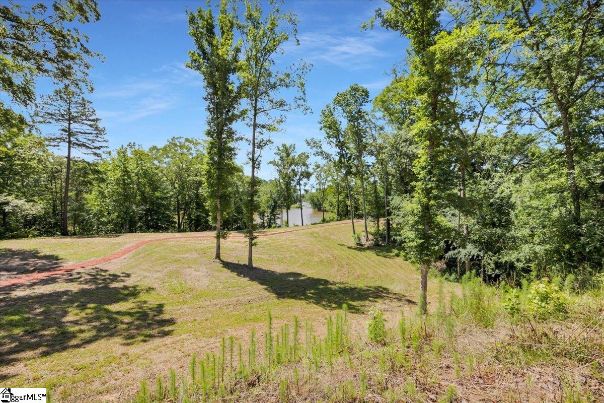 1194 Ninety-Nine Island Road Blacksburg, SC 29702 - Photo 41 of 46