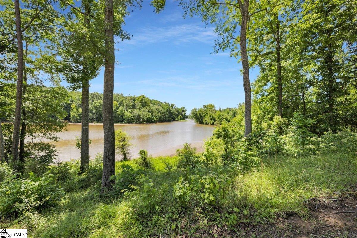 1194 Ninety-Nine Island Road Blacksburg, SC 29702 - Photo 45 of 46