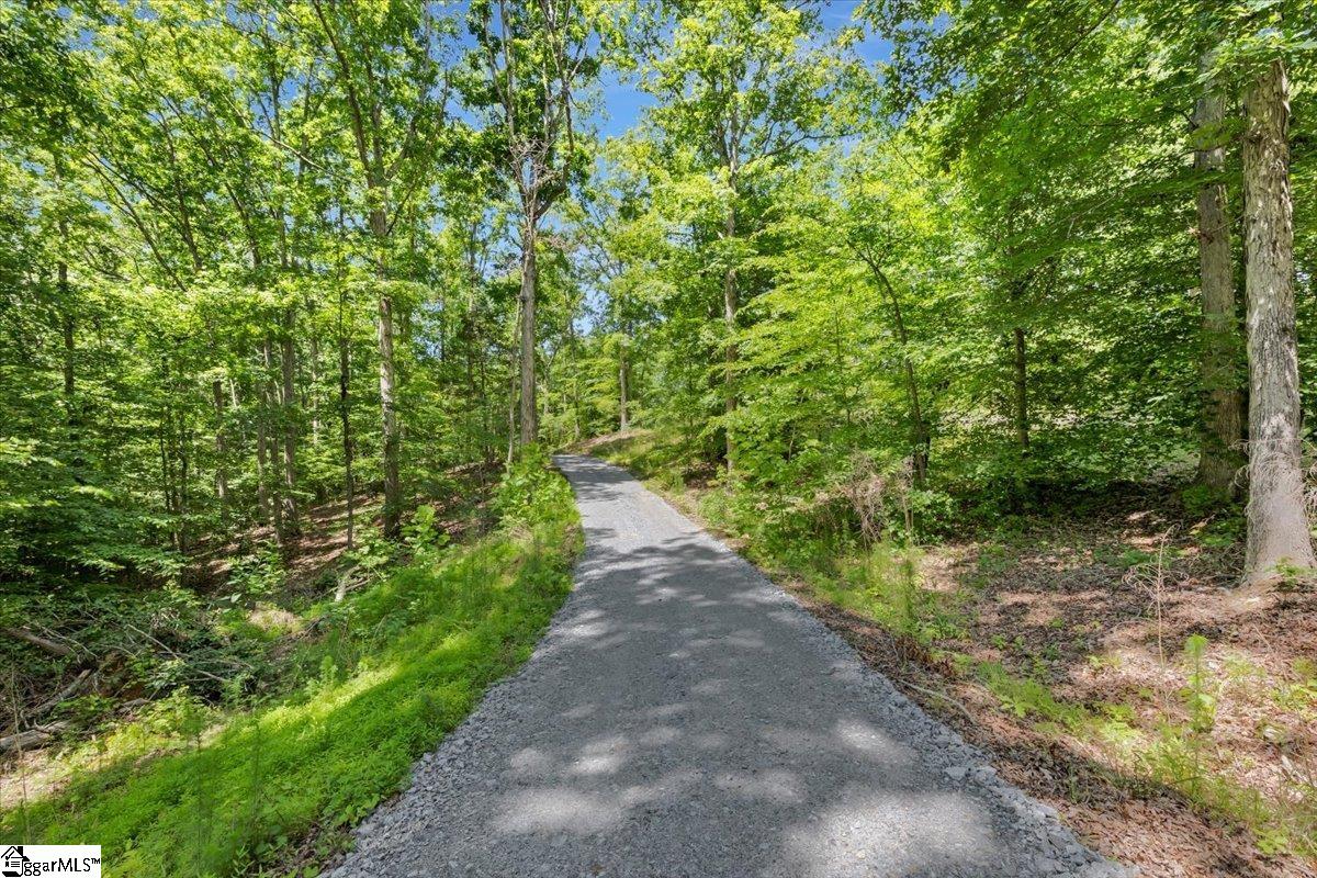 1194 Ninety-Nine Island Road Blacksburg, SC 29702 - Photo 46 of 46