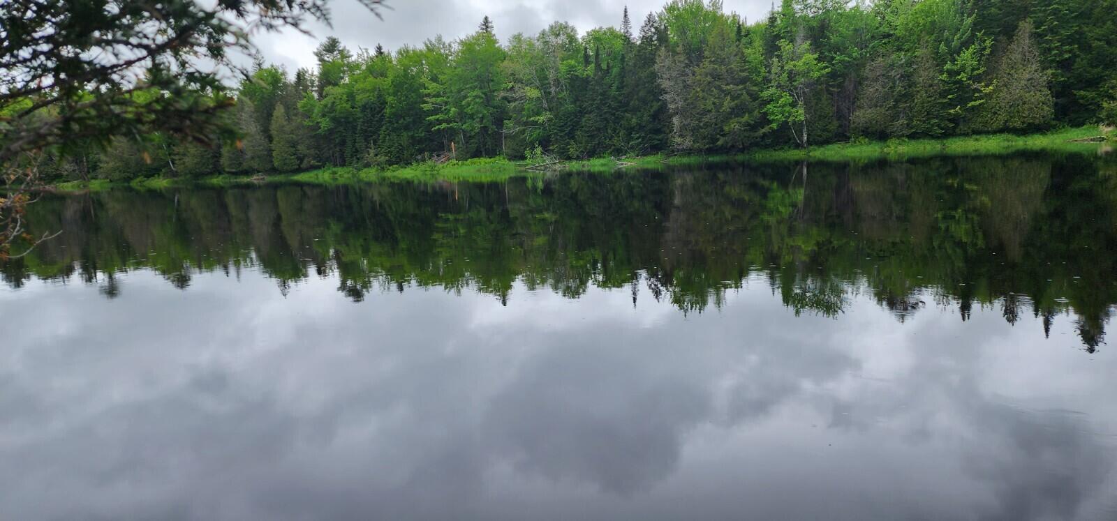 Lot 2 Haynes Road Wytopitlock, ME 04497 - Photo 1 of 16 20230607_113018