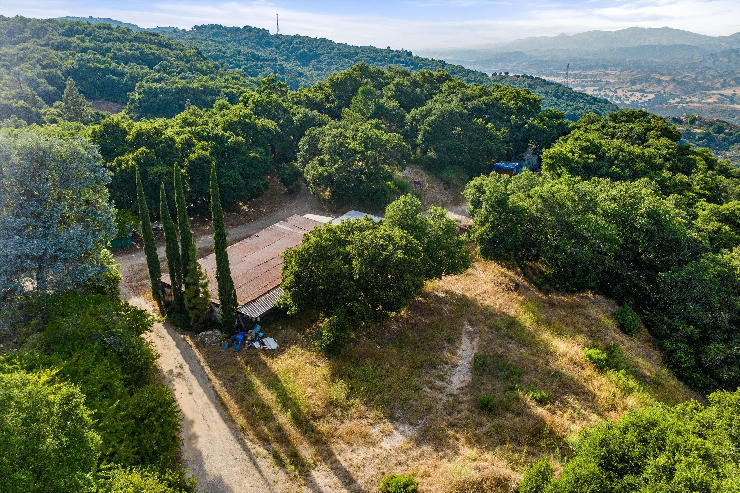 6572 Stagecoach Road Santa Barbara, CA 93105 - Photo 27 of 44 a view of a yard with plants and a large tree