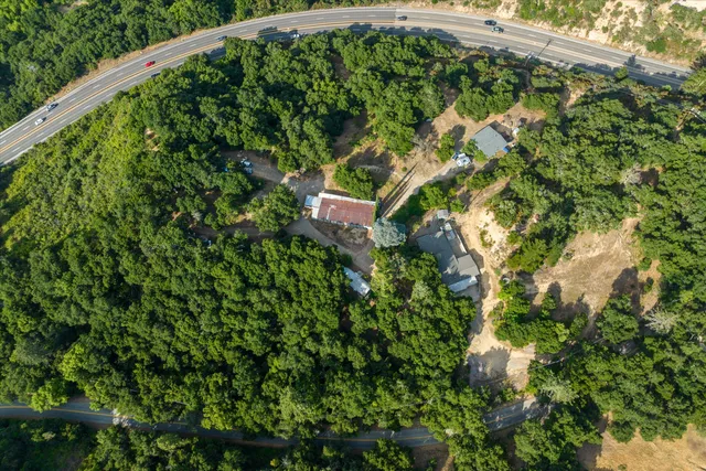 a view of a yard with large trees