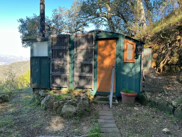 a view of a tree in a garden