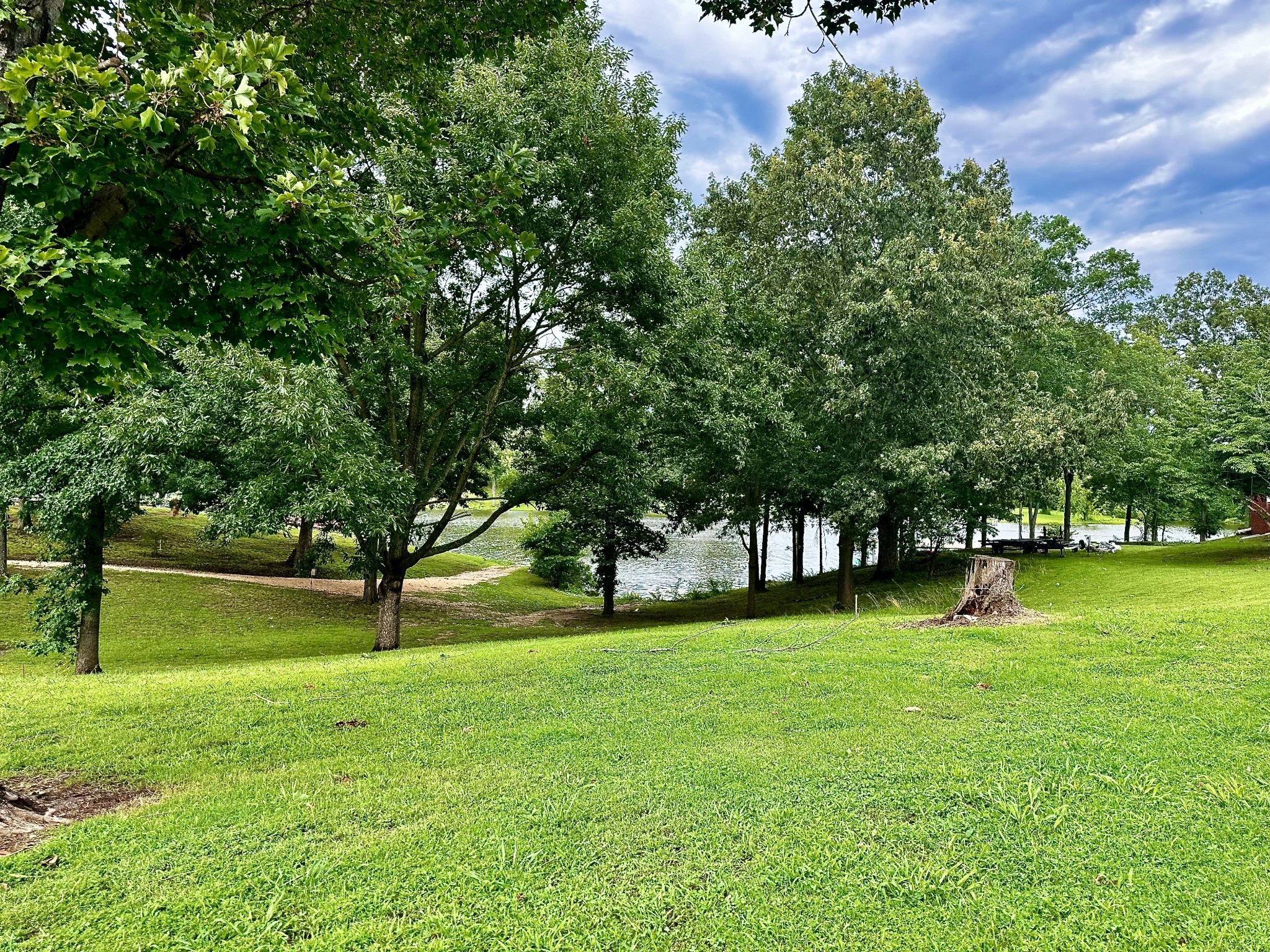 0 Eva Harbor Road Eva, TN 38333 - Photo 2 of 7 a view of a tree in a park