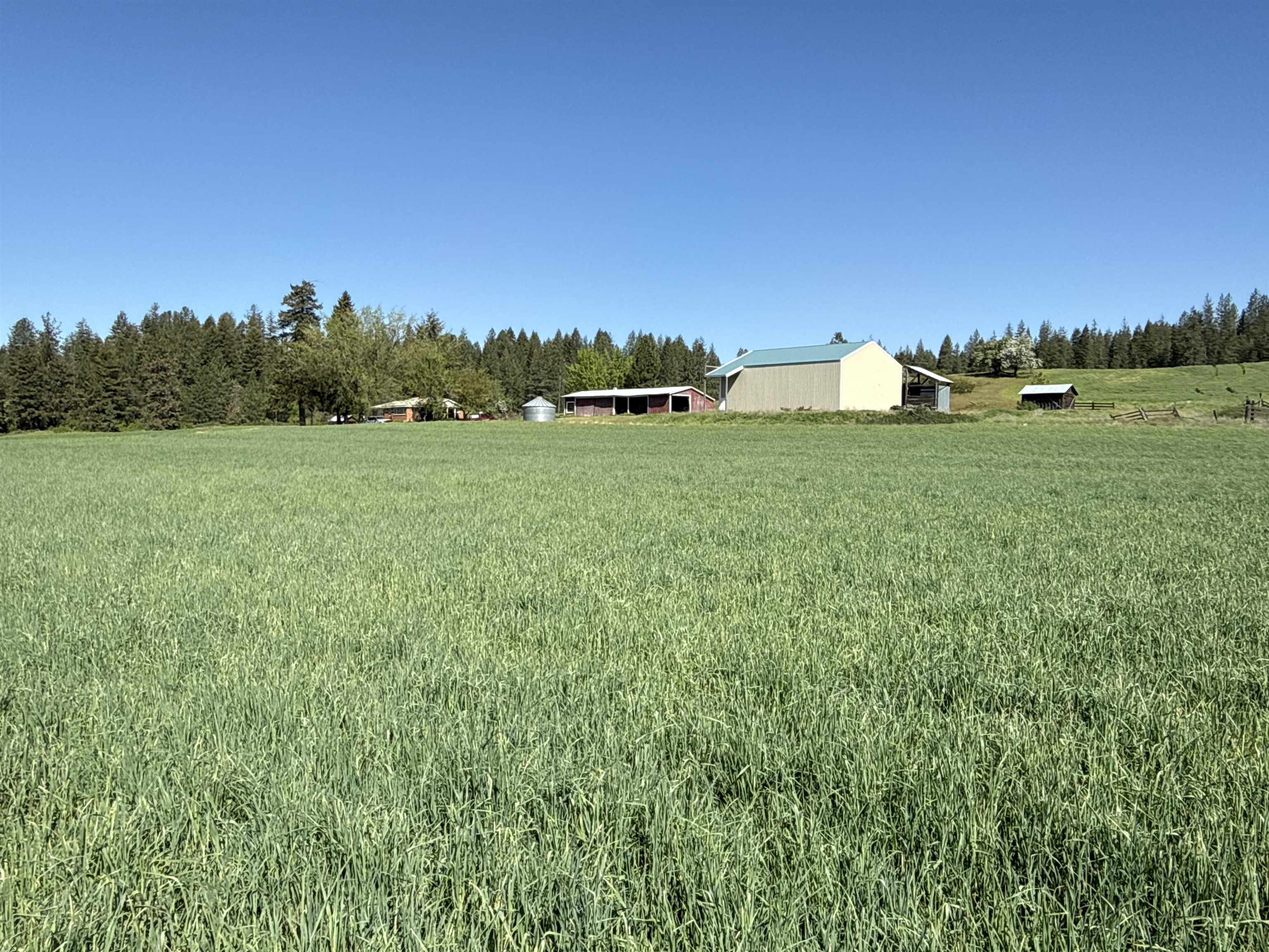 4881 A Carr Road Clayton, WA 99110 - Photo 27 of 44