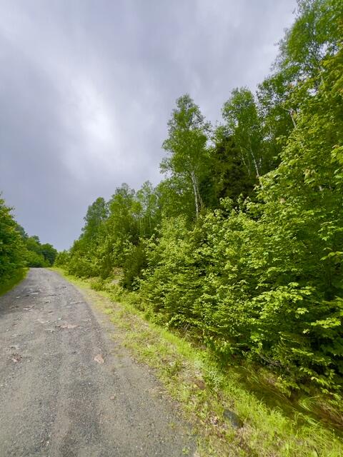 Map004-030 Ermine Road Sandy River Plt, ME 04970 - Photo 12 of 15 PRIVACY!