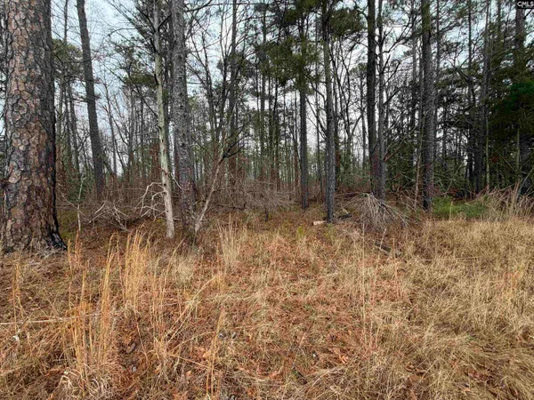 $160,000 | 0 St Philips Church Road, Prosperity, SC 29127