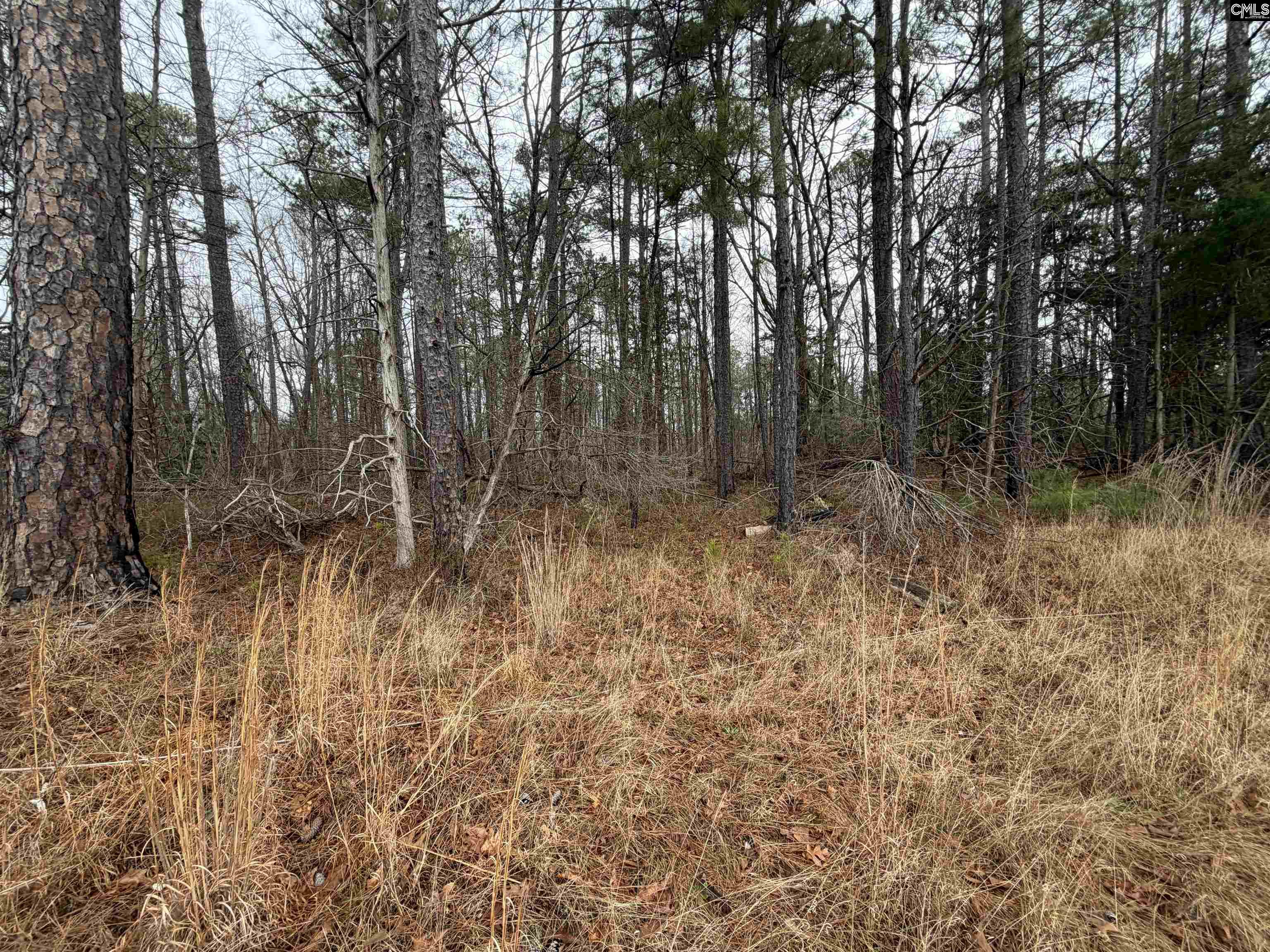 0 St Philips Church Road Prosperity, SC 29127 - Photo 1 of 5